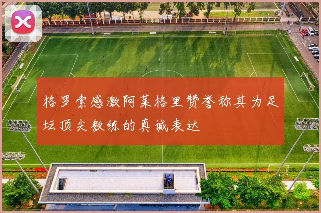 格罗索感激阿莱格里赞誉称其为足坛顶尖教练的真诚表达