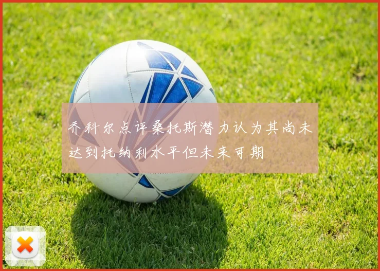 乔科尔点评桑托斯潜力认为其尚未达到托纳利水平但未来可期